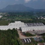 Industrial Warehouse Shed 2 — 35,000 sq ft Clear-Span Facility, Vadodara, Gujarat