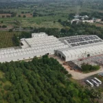 Industrial Warehouse Shed 2 — 35,000 sq ft Clear-Span Facility, Vadodara, Gujarat