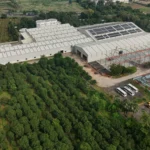 Aerial view of Axtel Industries Shed 2 under construction beside the completed Shed 1, Vadodara, Gujarat