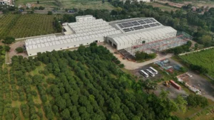 Aerial view of Axtel Industries Shed 2 under construction beside the completed Shed 1, Vadodara, Gujarat