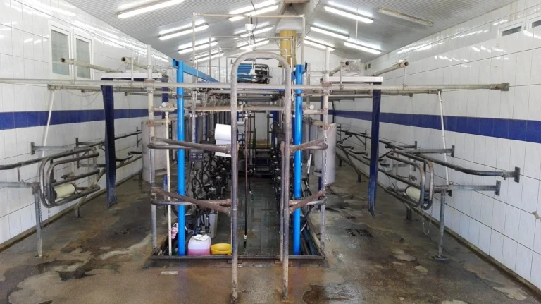 Milking Parlour Renovation — Cattle Breeding Farm (RKVY)